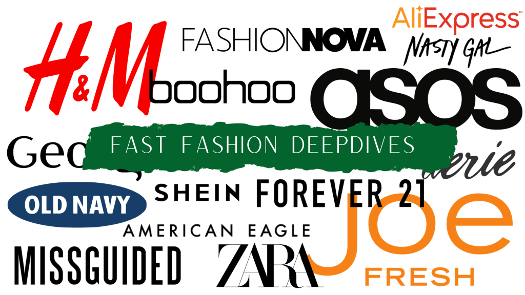 Fast Fashion Series:&nbsp;Introduction