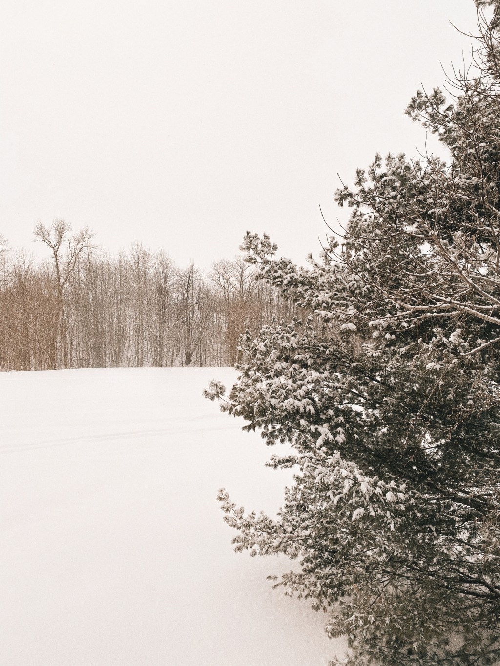 Obsessions: February 20, 2021