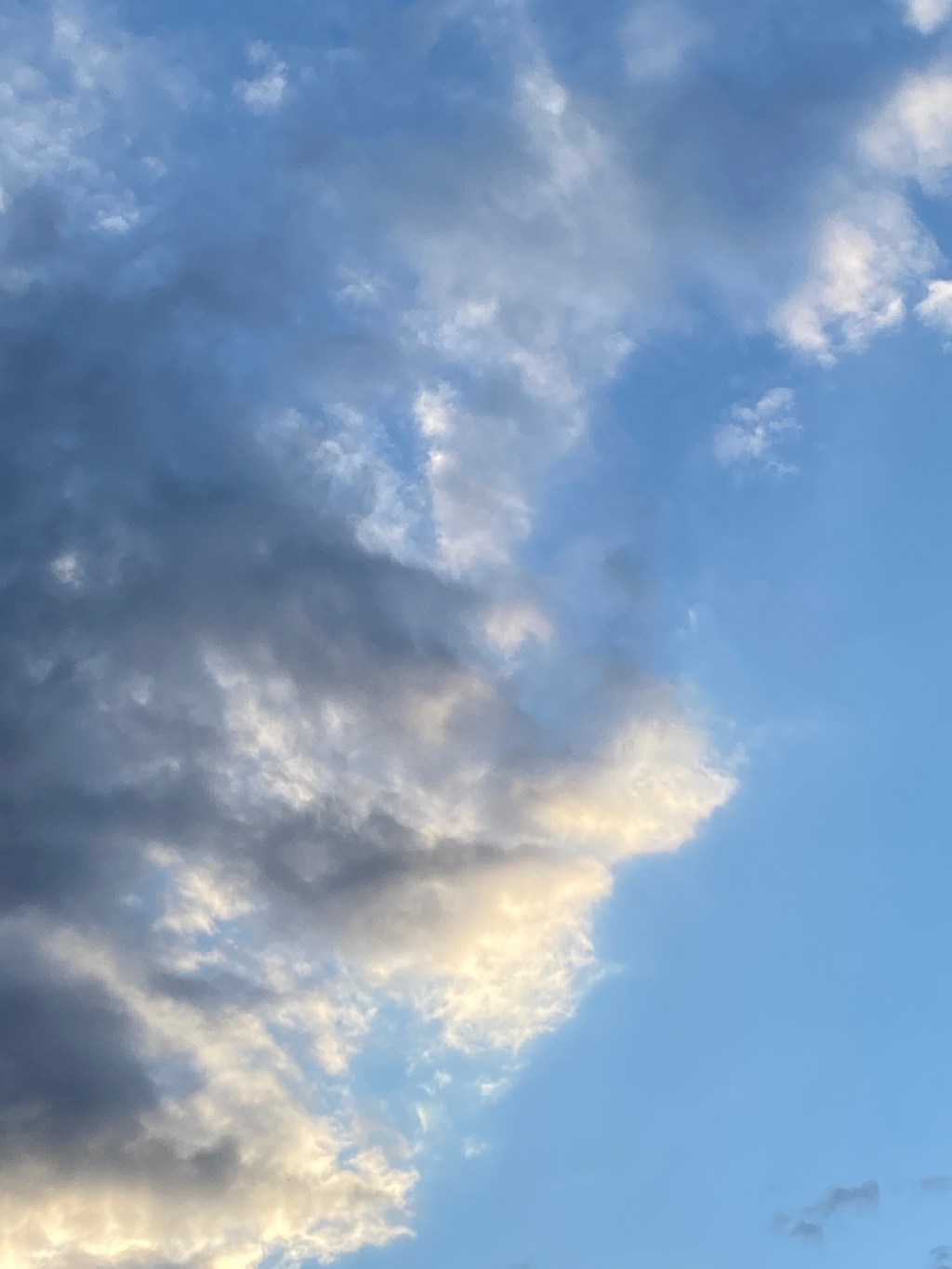 I’m not sure where this is&nbsp;going