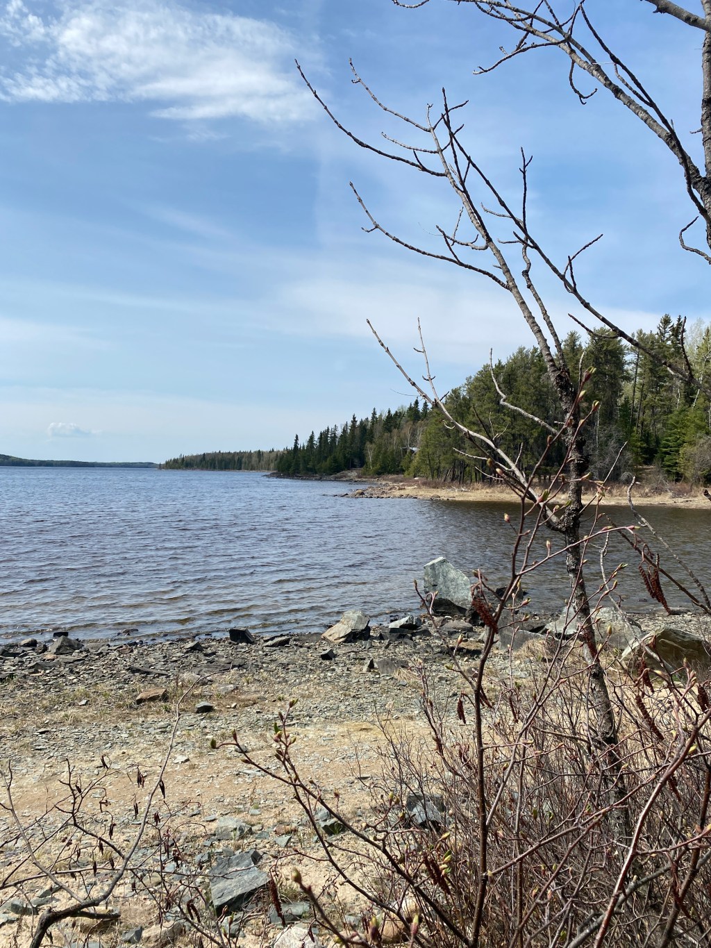 Mid-Week Procrastination: The&nbsp;Return