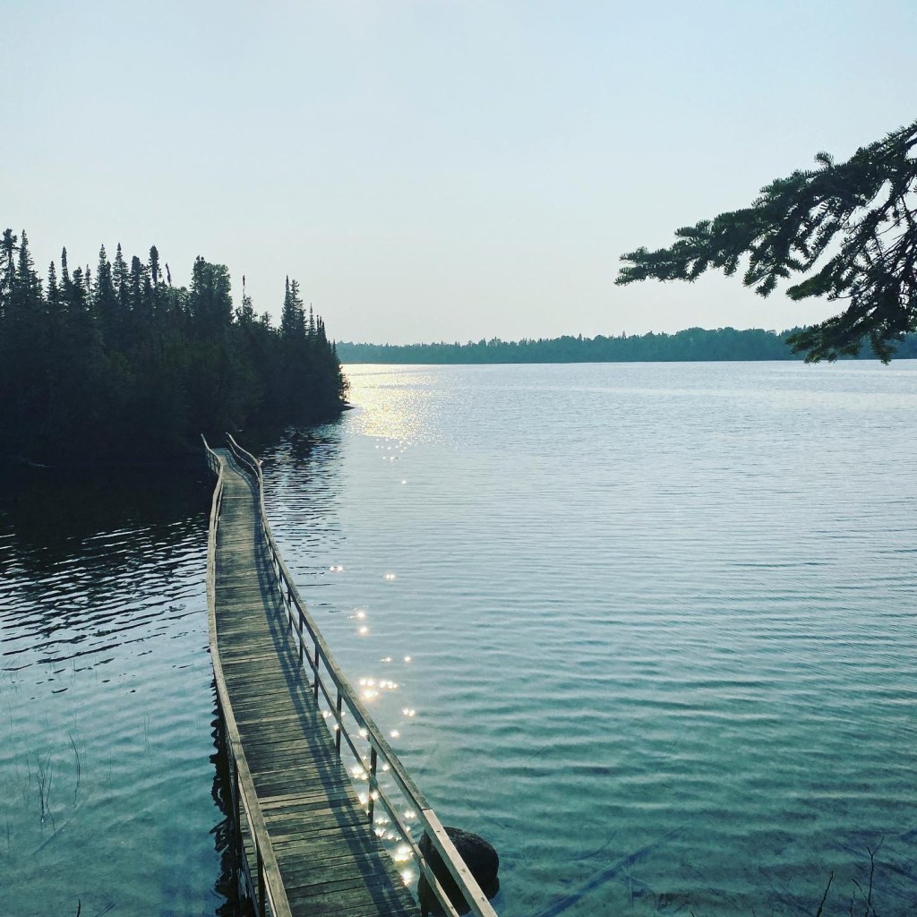 Northern Diaries: One Year in&nbsp;NWO