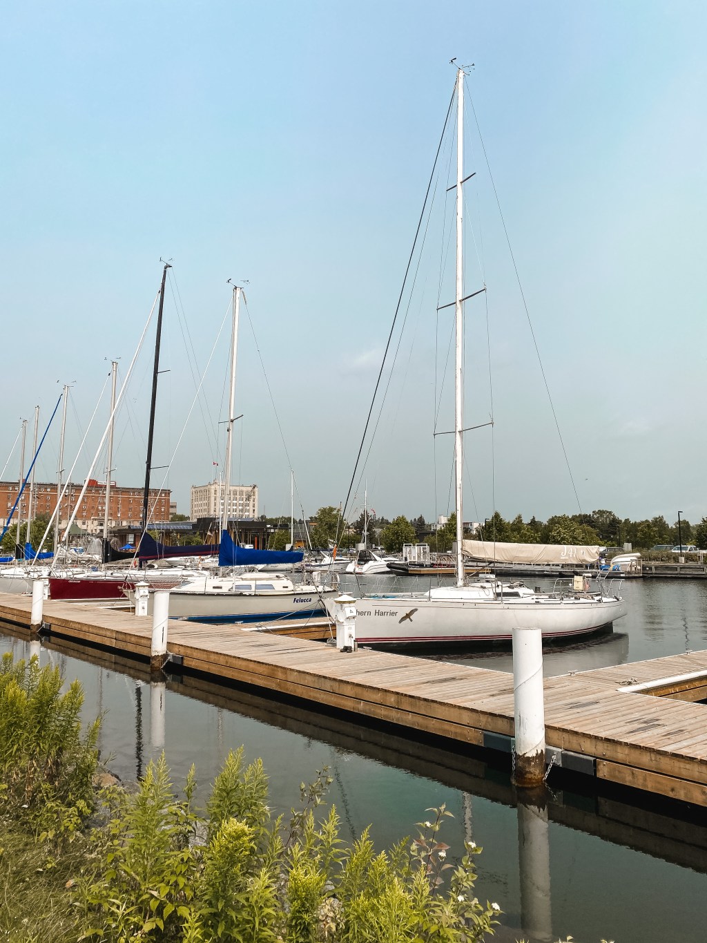 Obsessions: July 31: Sneakers and Black&nbsp;Widow