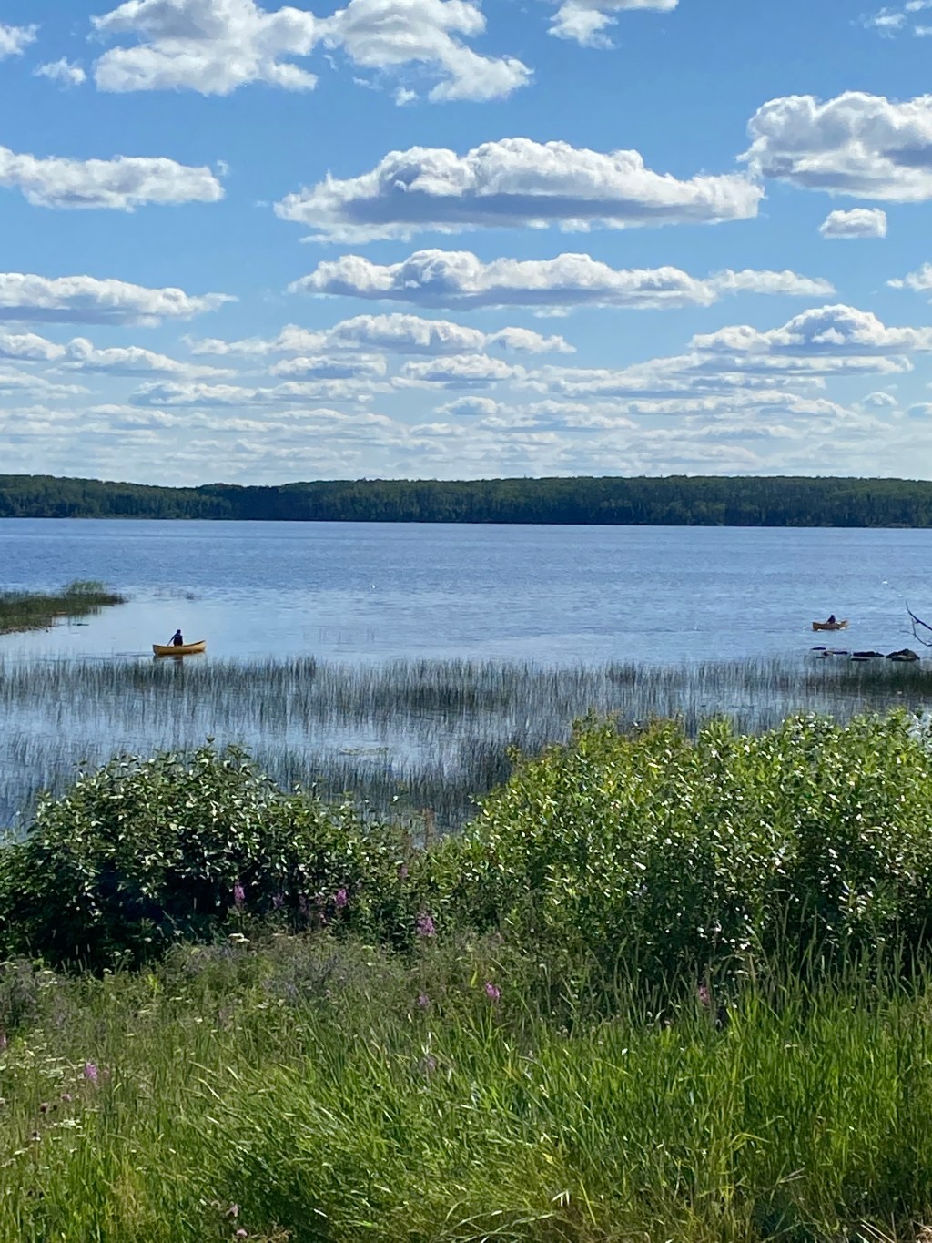 Mid-week Procrastination: Bean Crime and Fall&nbsp;Plans