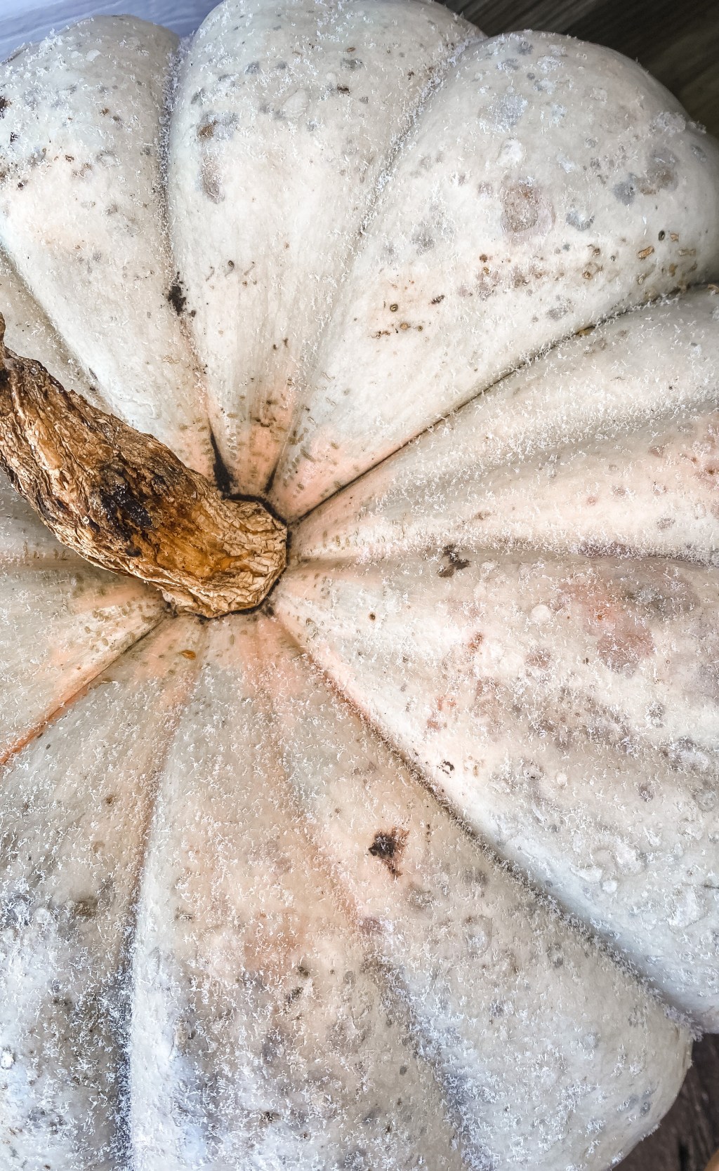 Friday Favourites: Halloween and High School&nbsp;Nostalgia