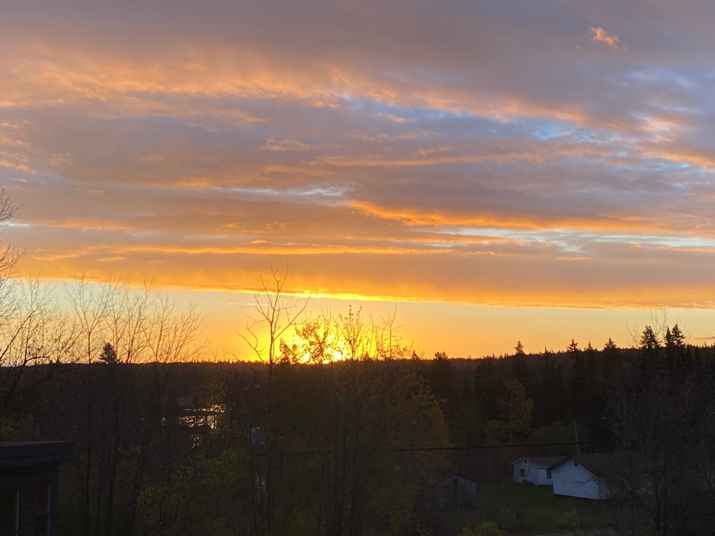 Thoughts on “Finding your&nbsp;niche”