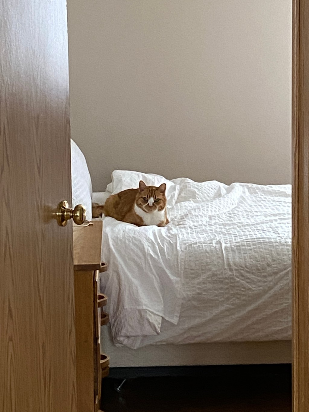 Saturday Scroll: 11/13/21