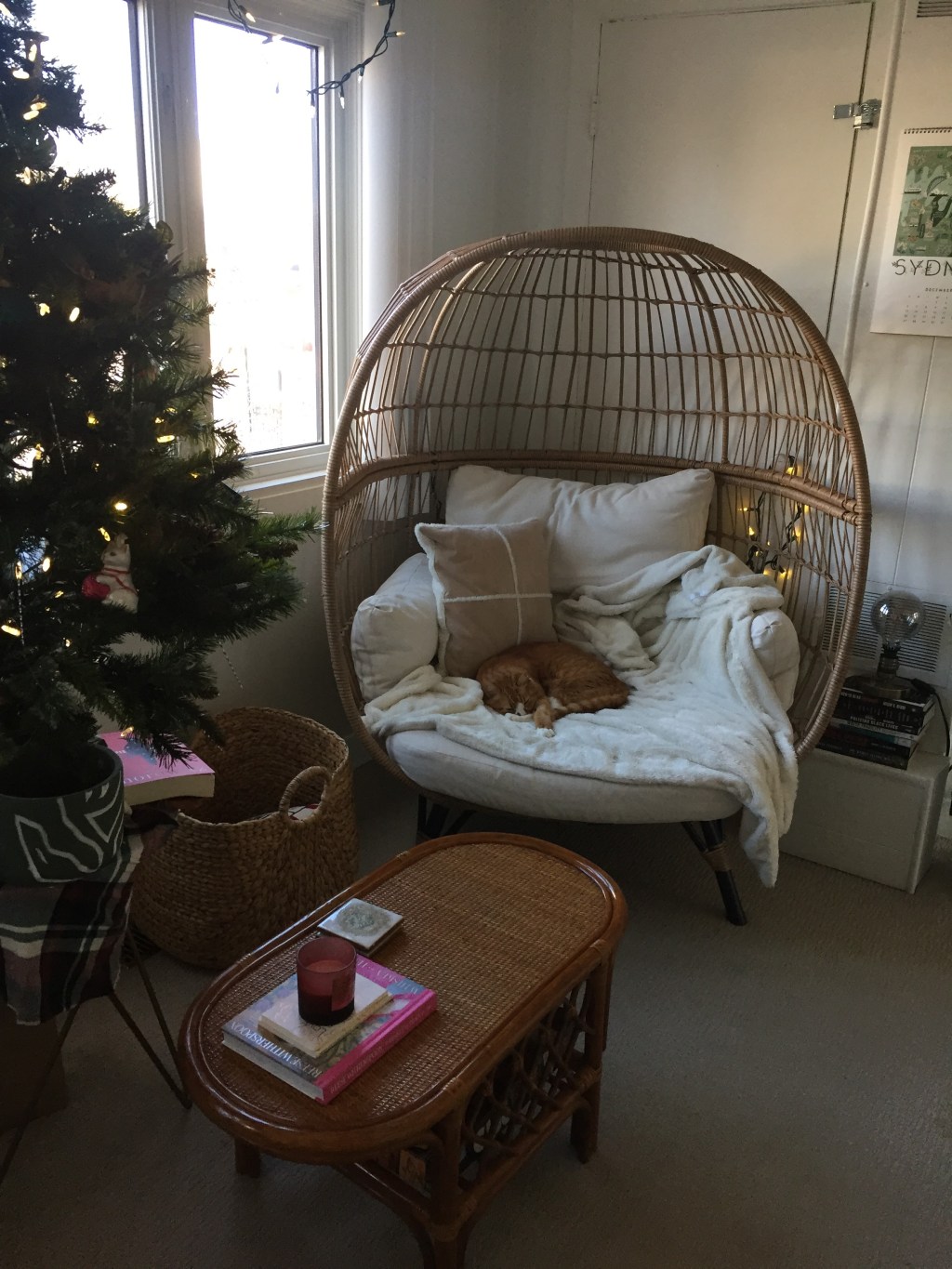 Northern Diaries: Plans for Christmas and New Years in Southern&nbsp;Ontario