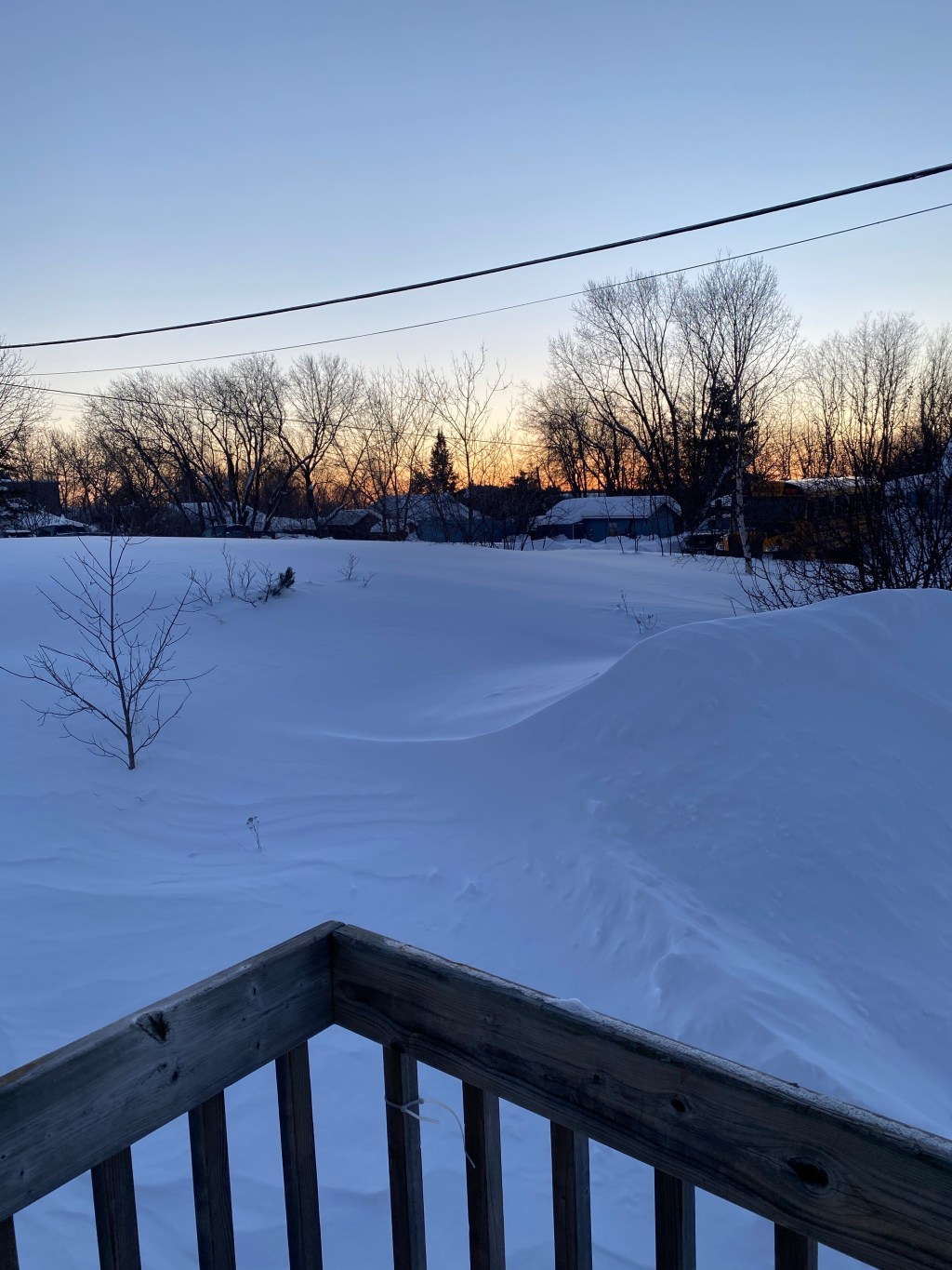 Friday Favorites: 01/27/22