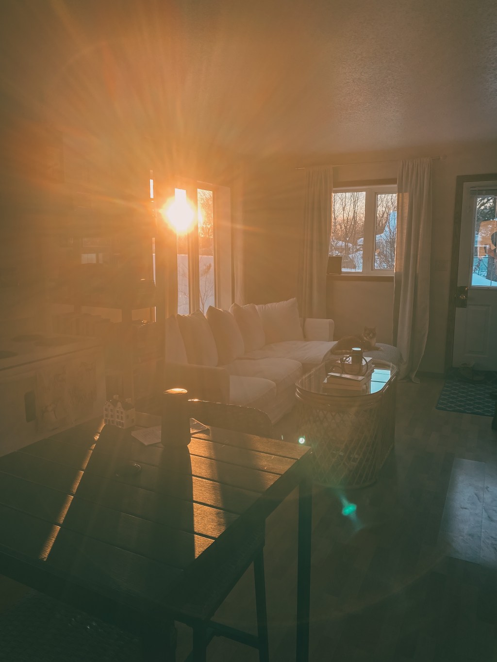 Saturday Scroll: 01/29/22