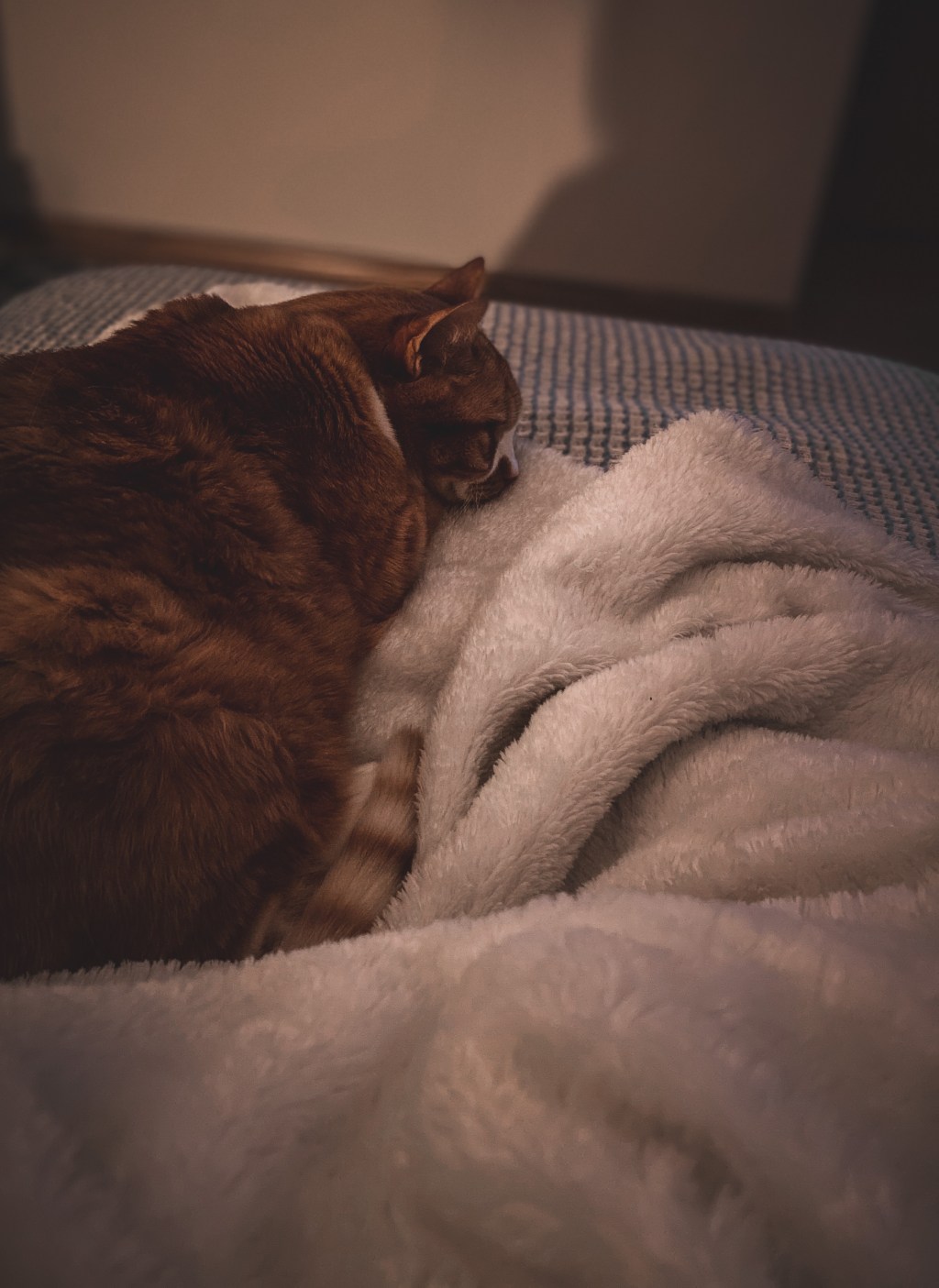 Friday Favorites: Podcast scares and a new favorite&nbsp;YouTuber