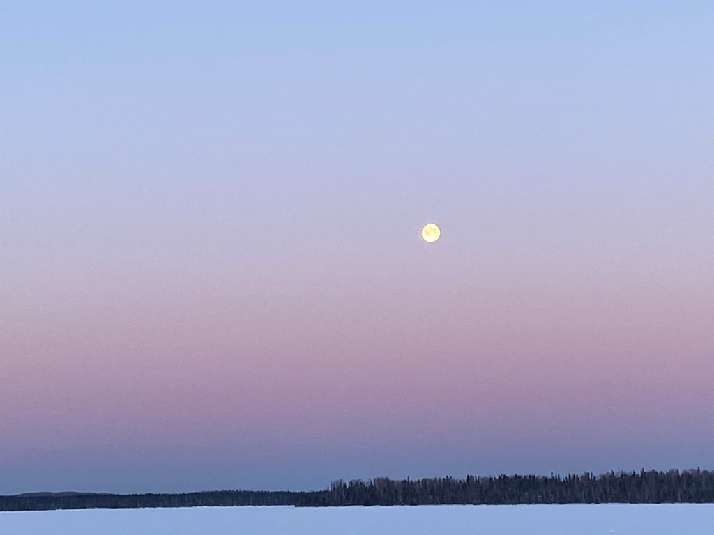 Friday Favorites: Chicken Fingers and Rapid&nbsp;Tests