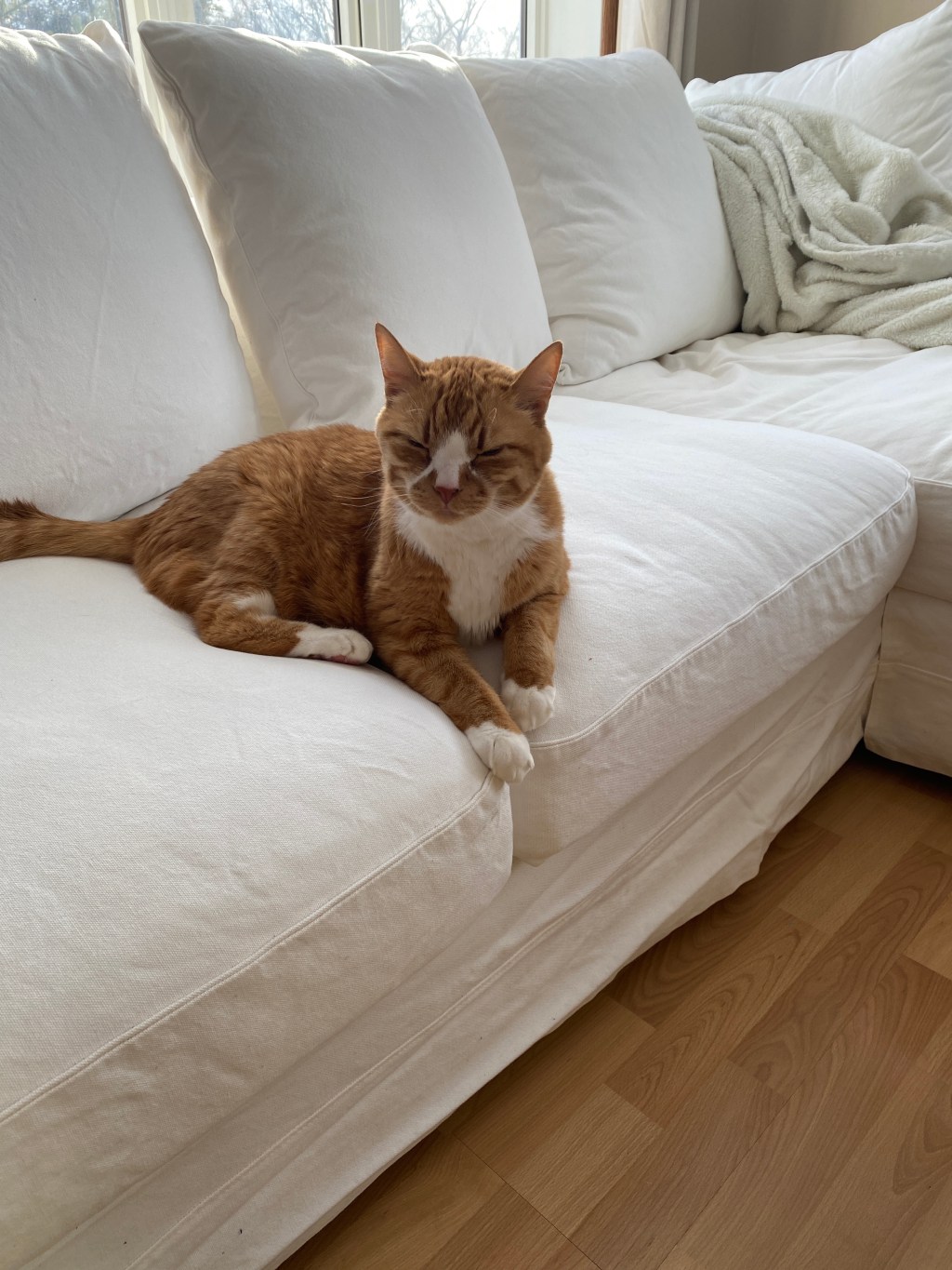 Friday Favorites: news overwhelm and favourite&nbsp;jeans