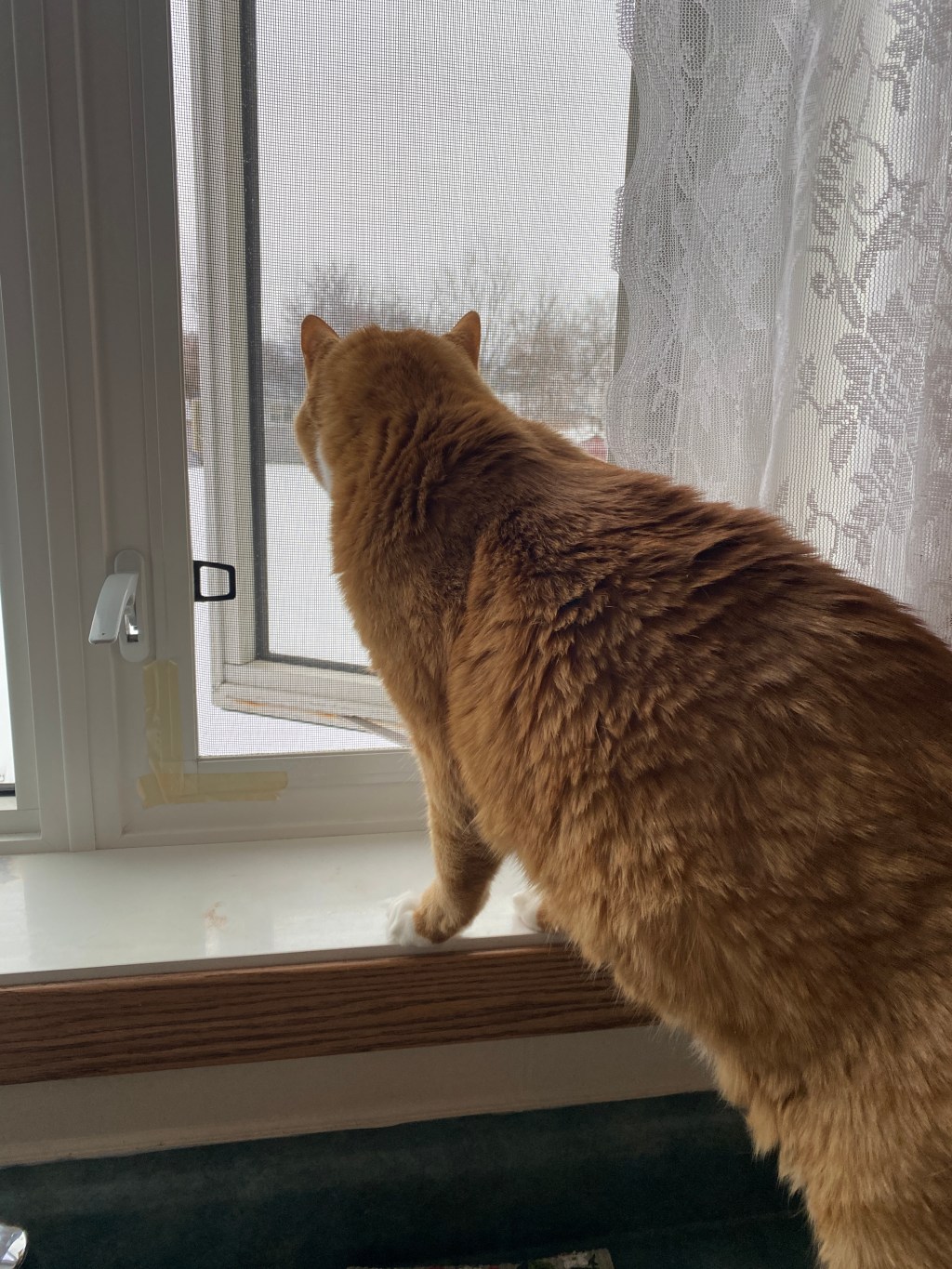 Friday Favorites: Afternoon breezes and afternoon&nbsp;tea