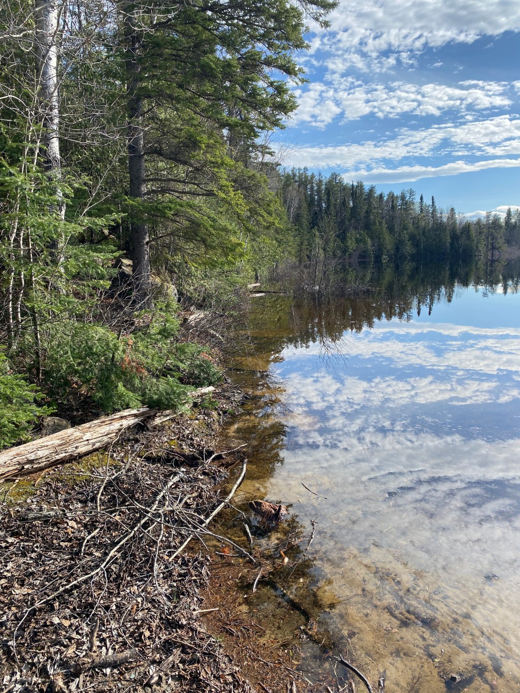 Friday Favorites: just girly&nbsp;things