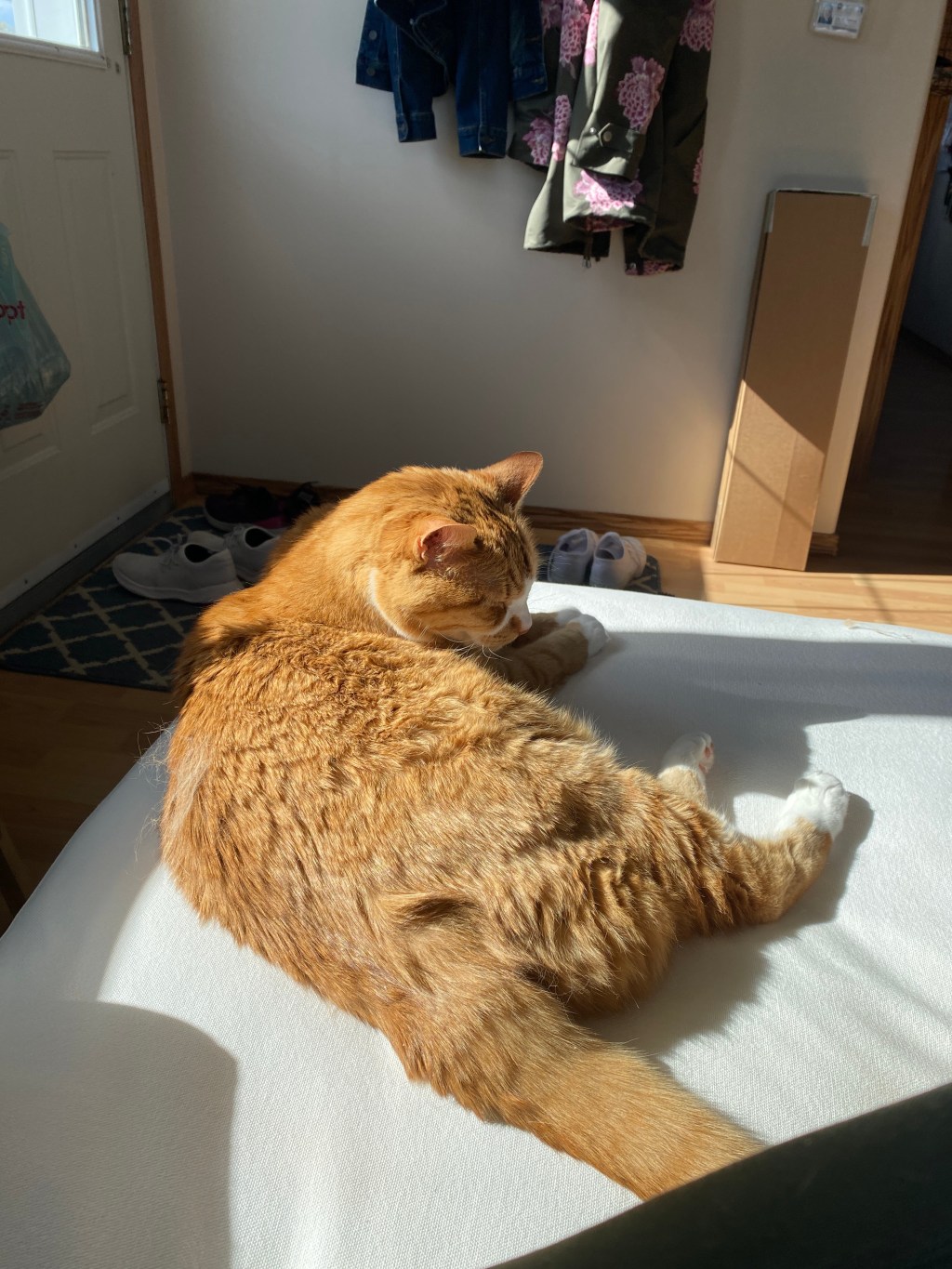 Mid-Week Procrastination Vol.&nbsp;2