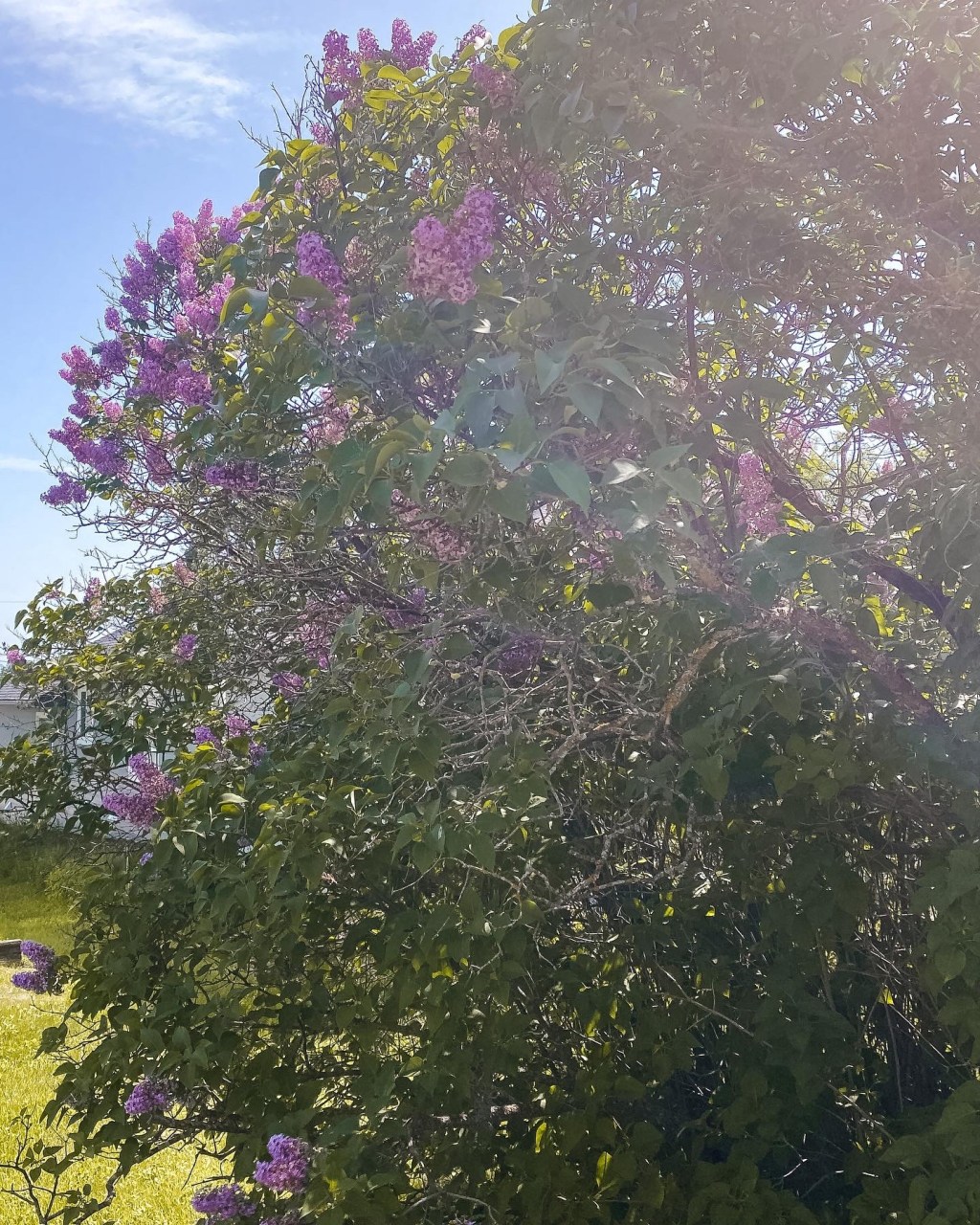 Friday Favorites: 6/24/22