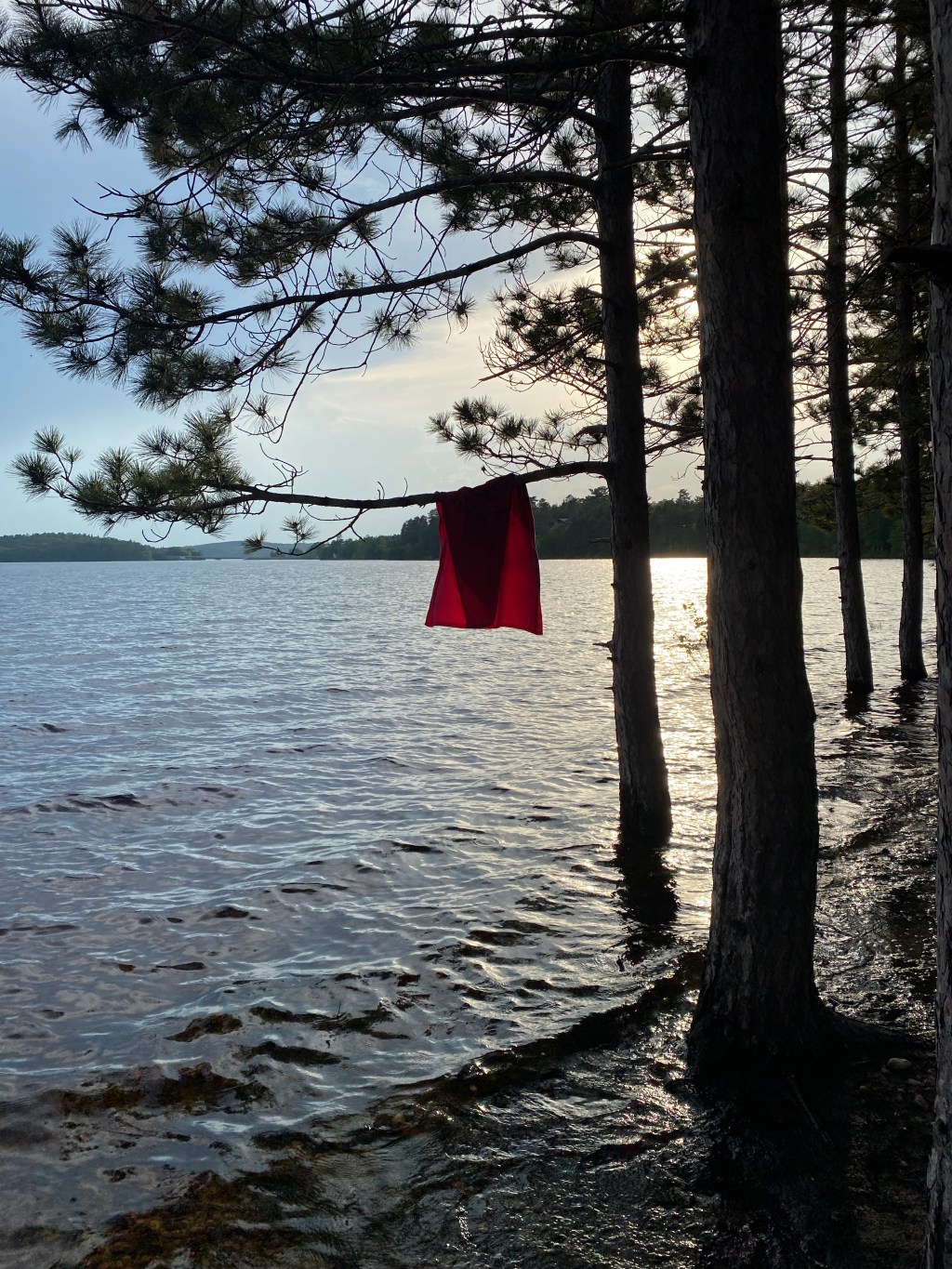 Spring & Summer Bucket List