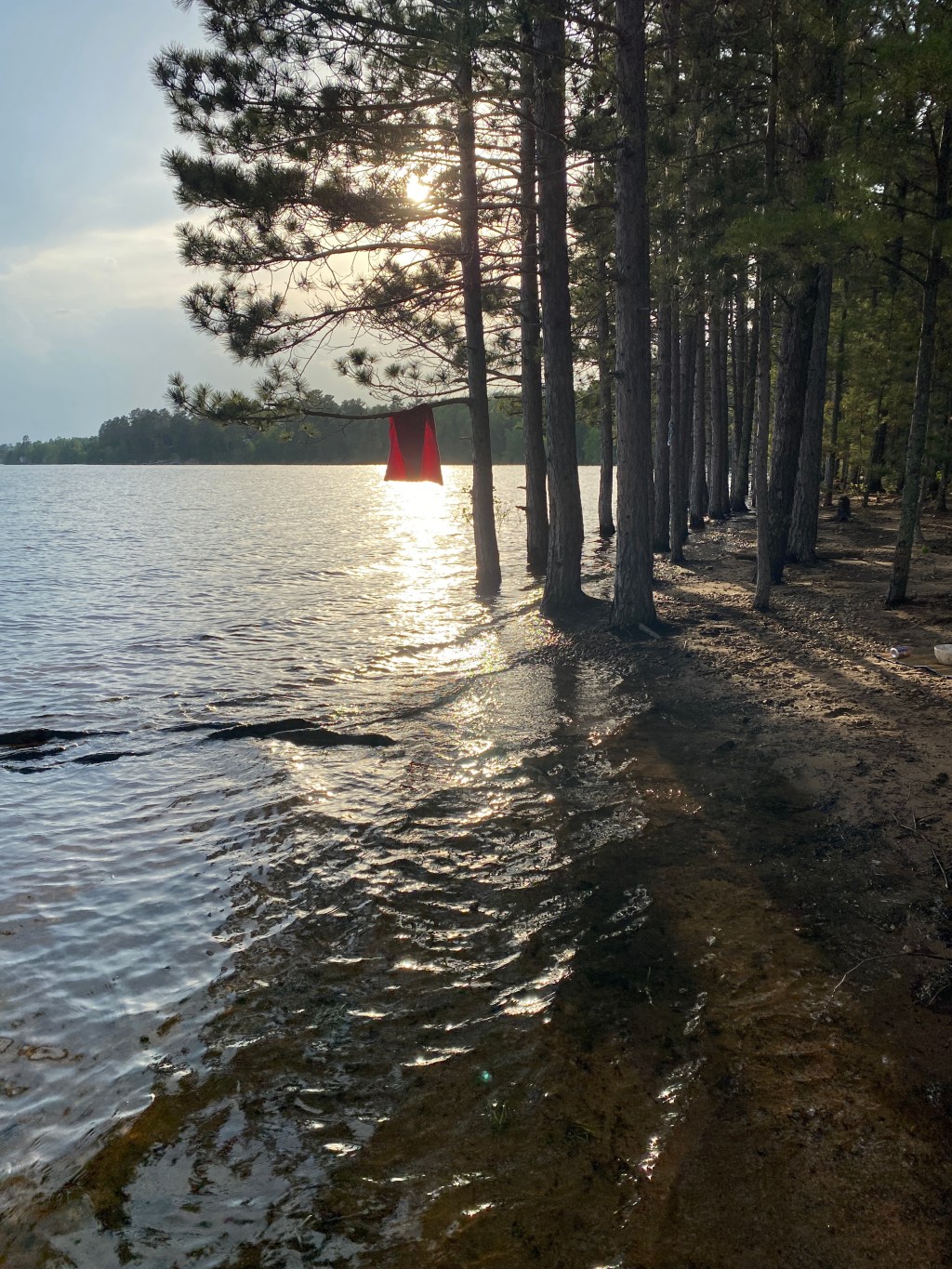 Mid-Week Procrastination Vol.&nbsp;5