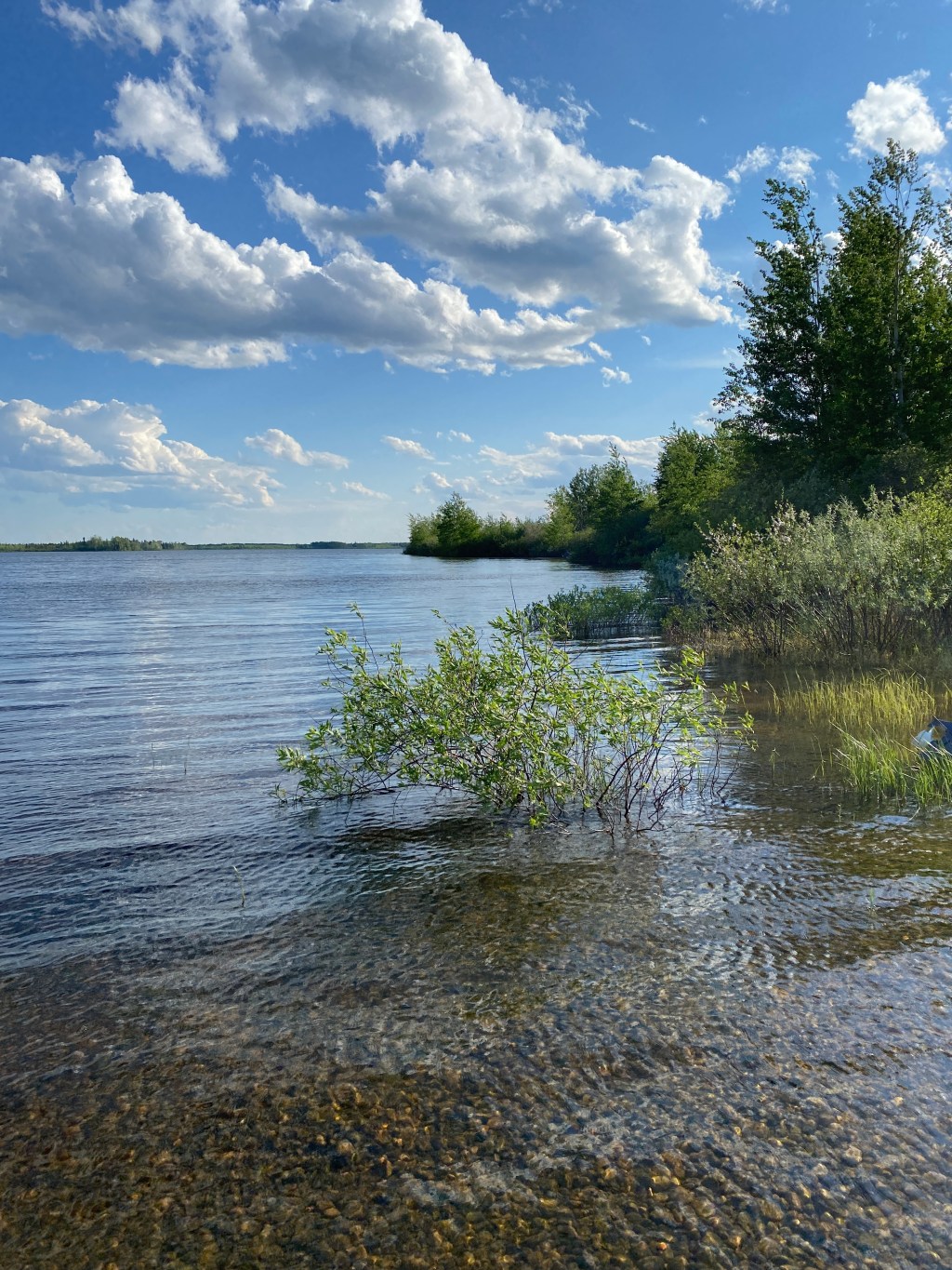 Mid-Week Procrastination Vol. 6