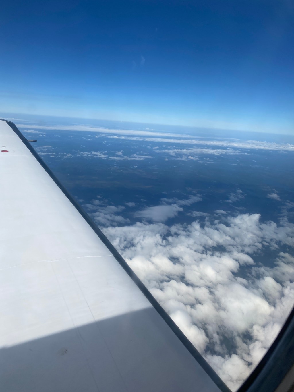 Friday Favorites: 09/02/22