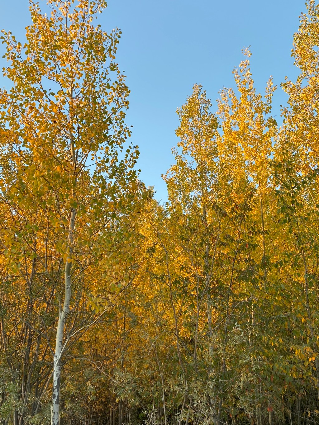 Saturday Scroll: 10/01/22