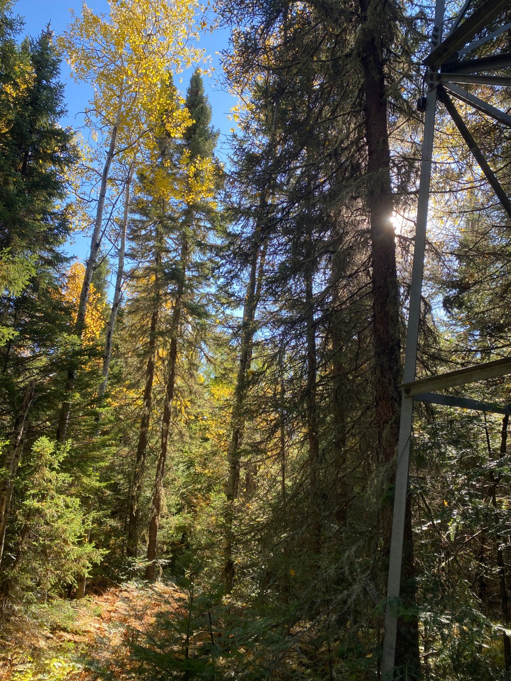 October State of the&nbsp;Union