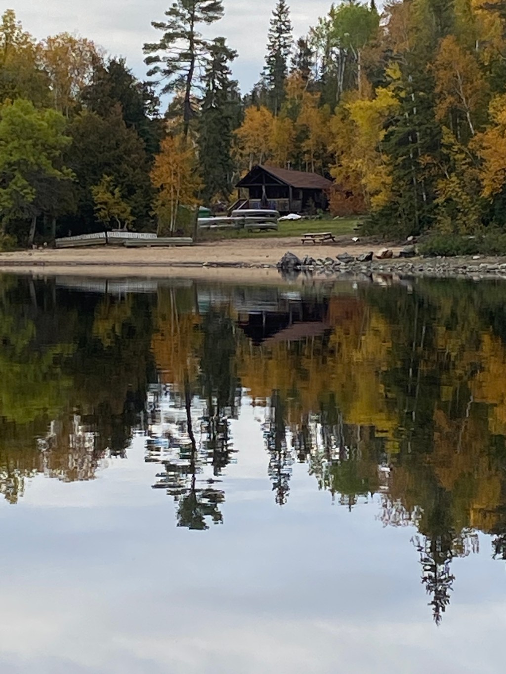 Friday Favorites: Non-fiction&nbsp;Week