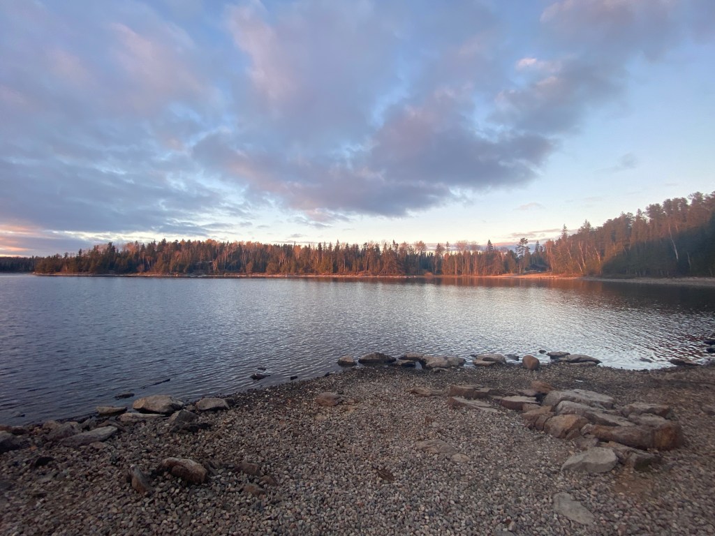 Friday Favorites: 10/28/2022