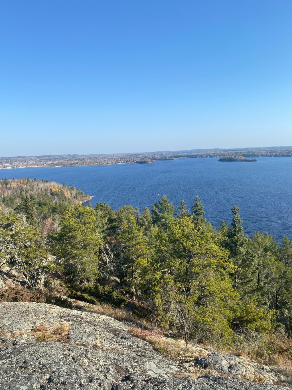 Mid-Week Procrastination: Vol.&nbsp;14