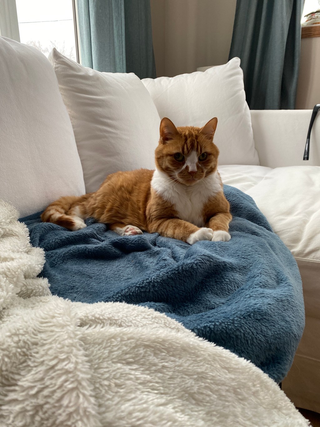 Saturday Scroll: 11/12/22