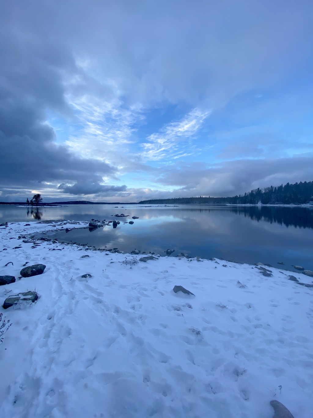 November State of the&nbsp;Union