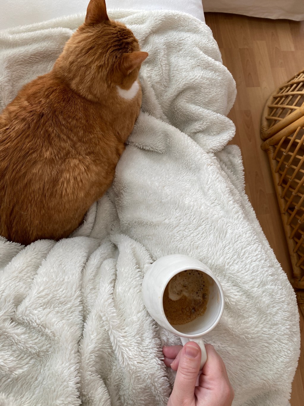 Friday Favorites: Winter&nbsp;non-essentials