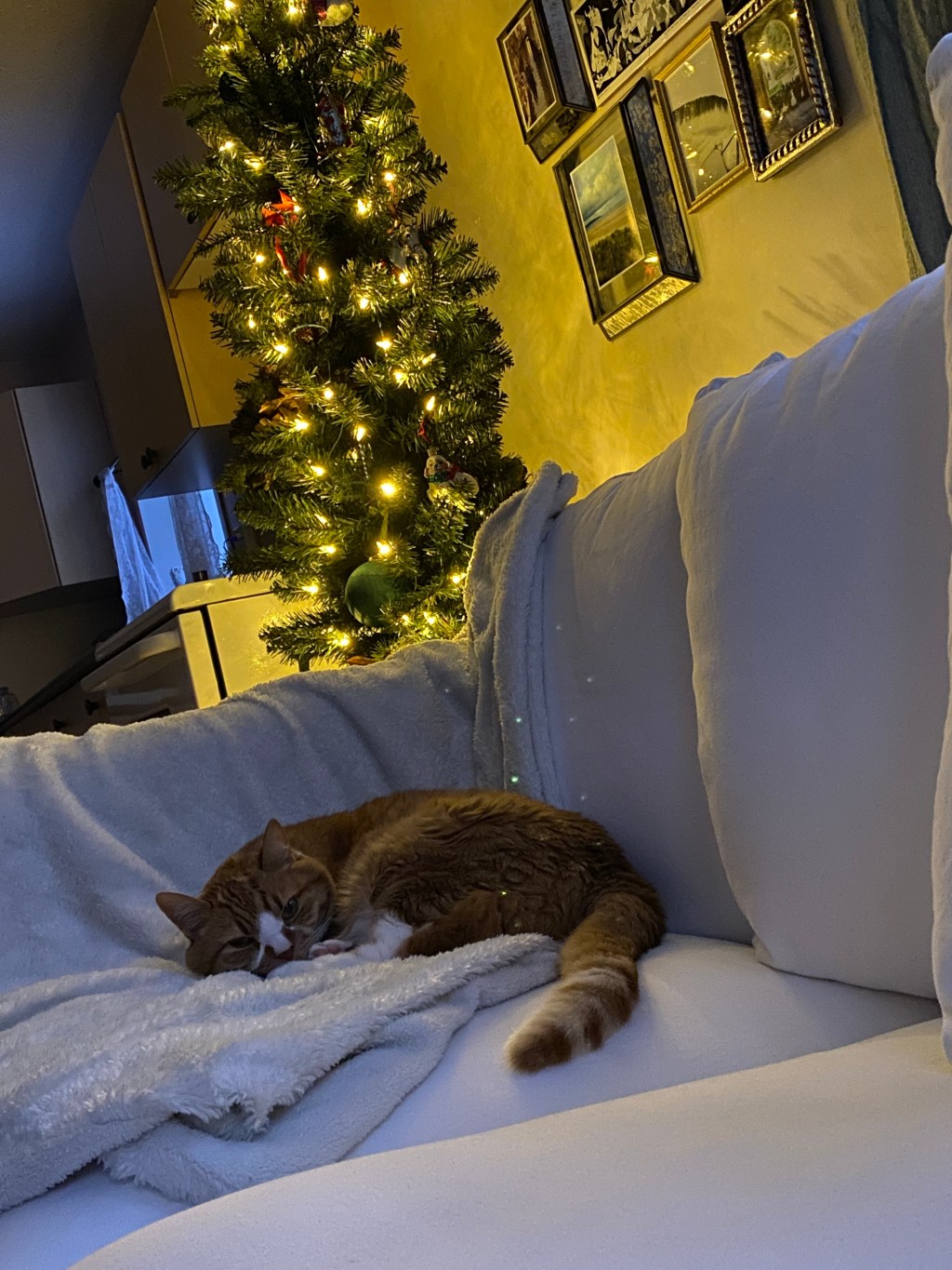 December State of the&nbsp;Union