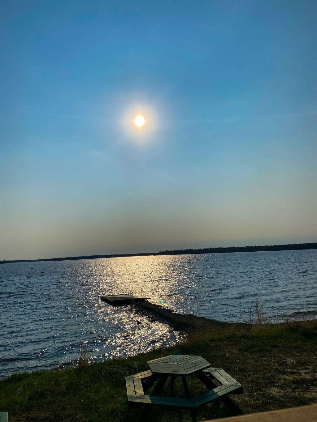 The Friday Edit: Vol.&nbsp;20