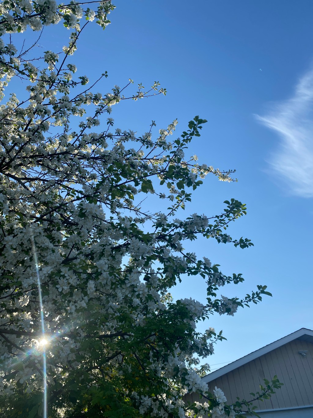 The Friday Edit: Vol.&nbsp;17