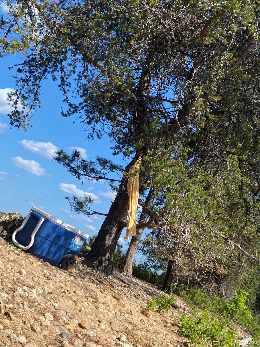 The Friday Edit: Vol.&nbsp;19