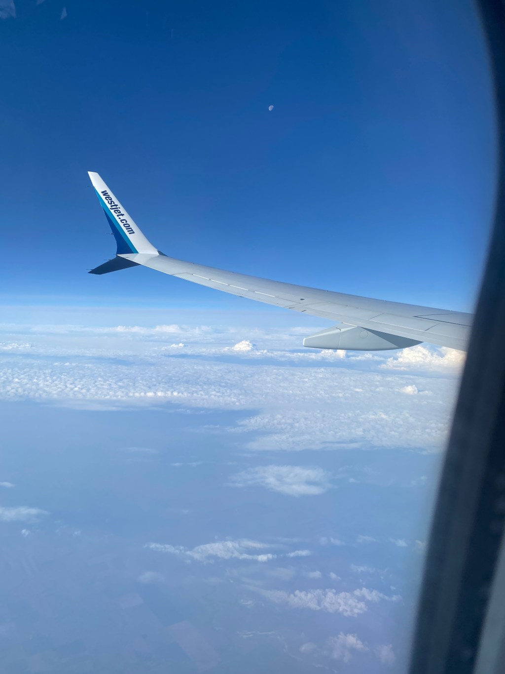 Post-Travel Reset Routine